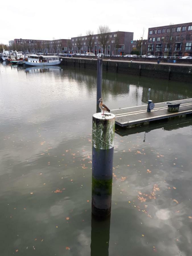 B&B Unitas Rotterdam Bagian luar foto